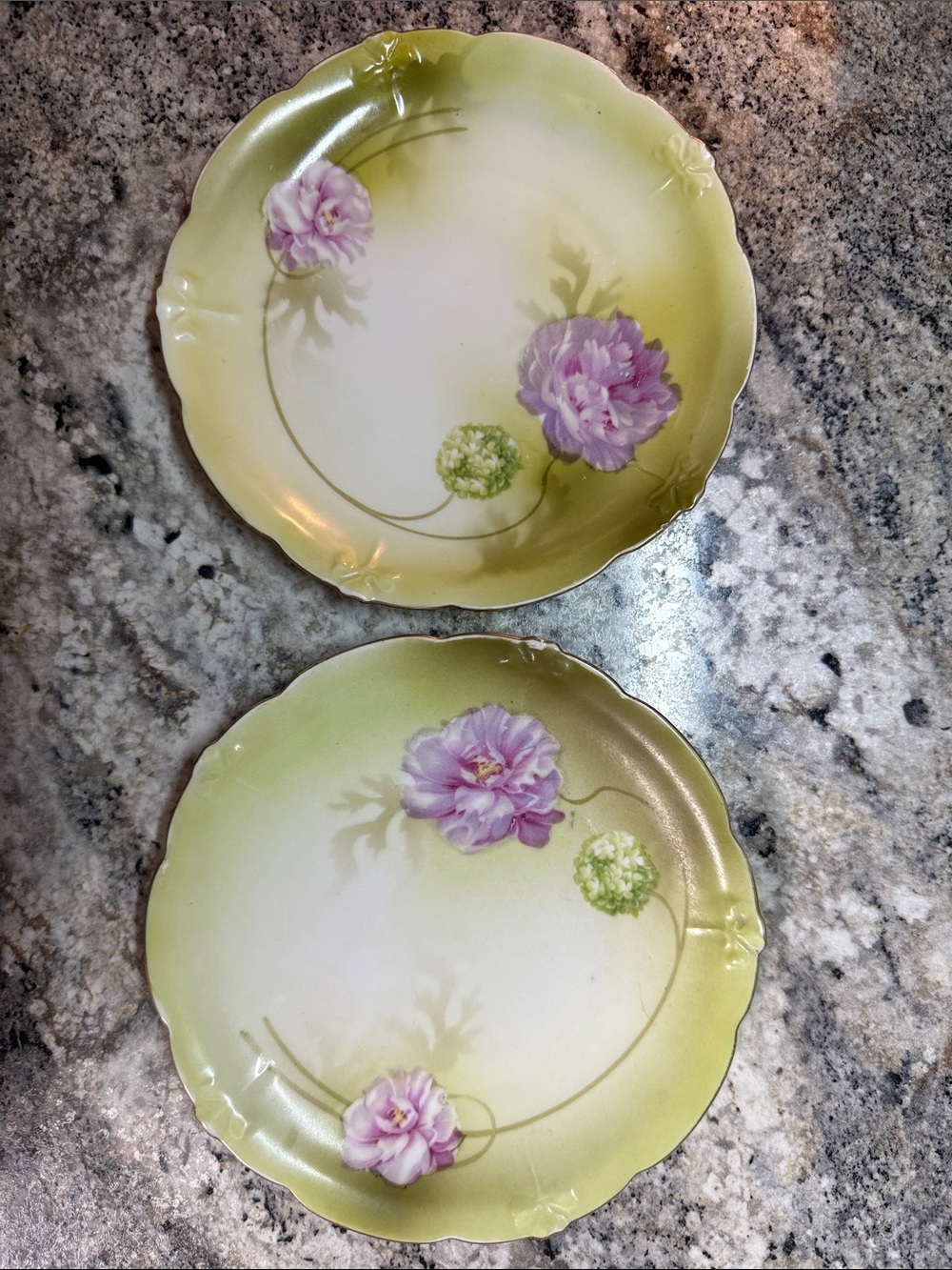 Vintage Yellow-Green Floral Porcelain Dinner Plates - Set of 2